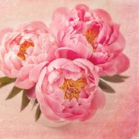 大溪水命女和和海中金命男结婚婚姻好不好