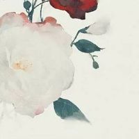 1998年几月的虎命最好 1、4、8月运势佳