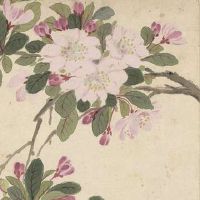 墓地风水实例教程如何选择风水地