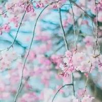 2012年属龙人在2022年下半年运势如何