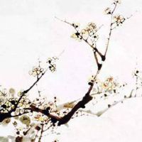 2022年农历八月十四是搬家吉日吗 这天是好日子吗