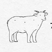 79羊一生中有几个孩子
