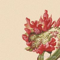 阴历腊月二十八出世男孩儿是啥命,今日出世属什么？