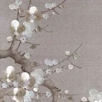 属马人虎年运势2022年 财运旺盛事业顺利