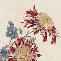 手机尾号68婚姻怎么样 女人手机尾号68