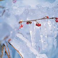 锦鲤地缸的风水作用 锦鲤鱼催财旺财