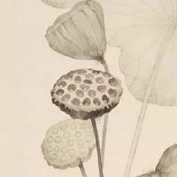 天同星在夫妻宫 夫妻宫天同星性格解析