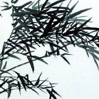 手机号尾号66是吉祥号码 最新吉利添财的手机尾号