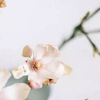 夫妻宫出现武曲天府女 夫妻宫武贪丑未同宫