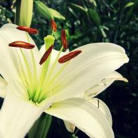 如何使用一个单词来描述3个星座，并看到哪种可爱是美丽，酷和温暖的