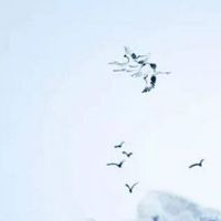 车牌号尾数是5好不好 带5的车牌号好吗