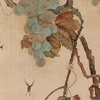 眉毛一高一低女人命运 长眉的女性运气好