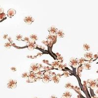 1986年属虎是什么命女 37岁属虎今年会结婚吗