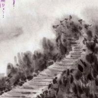 属虎和属鸡的相配吗 欢喜冤家多乐趣