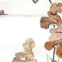 今日穿衣指南:2022年11月12日五行穿衣幸运色