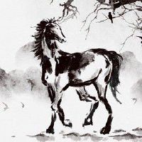 2022年8月生肖马健康上要注意什么 锻炼身体生活规律