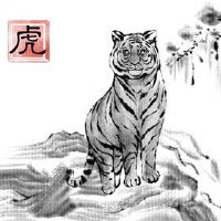 86年虎36岁后十年大运运程 运势良好注意身体