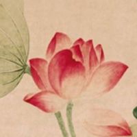 手机尾号777为啥不好 顺遂旺财的手机尾号数组