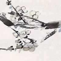 门对门最佳解决方法 装门帘可有效化解门冲