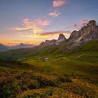 门口的种植有哪些选择 风水好添吉祥之气