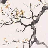 八卦镜的正确挂法及使用方法 上方有三叉对风水不利