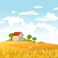 适合放置在家里的吉祥植物如何选择