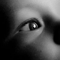 76龙一生有多少孩子？
