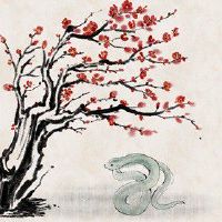 属蛇人2022年的财运婚姻 才华横溢获取财富