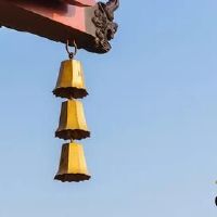 1983年12月出生的属猪男婚姻好么