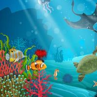 房子的前面种什么树有吉祥富贵的寓意