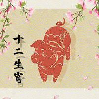 属猪人怎么破太岁 贵人相助化解太岁