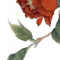 比较好的车牌五位数 最吉利的车牌数字