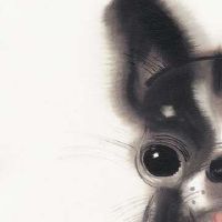 农历十一月十九祭拜拜祖怎么样？