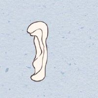 美人痣长在哪里最好 福气满满婚姻幸福