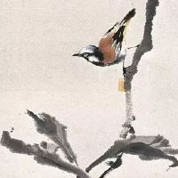 2022年属猪7月份财运发展趋势 七月生肖猪健康运势旺盛