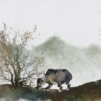 癸属牛2022虎年桃花运旺 吉星入命运势顺利