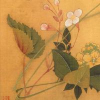 寒露是什么季节的节令？有什么农事活动？