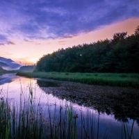 进门墙上的画如何选择 什么图案对家庭运势好