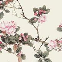 天府星坐守夫妻宫另一半 天府于丑未宫于卯酉宫