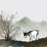 2022年8月属羊人考试运气分析 重新振作适当规范