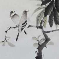 2022年10月31日出生属虎女孩八字五行查询 处处逢贵 不缺衣食