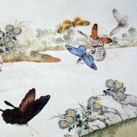 大拇指肚上有横纹的吉凶 财运兴旺指日可待