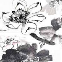 手机尾号7887好吗 吉庆好记忆的手机靓号数组