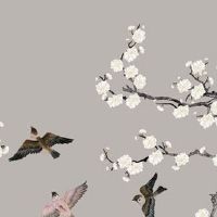 车牌号33有什么讲究 相生相旺的吉祥牌号