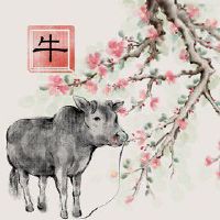 生肖牛1985年的命运如何 大富大贵后福不尽