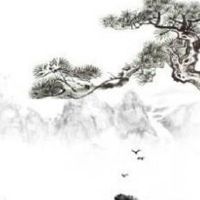 手机号码尾号00好不好 顺遂大吉的手机尾号数组