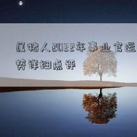 Pigman在2022年的详细评论和财富的财富