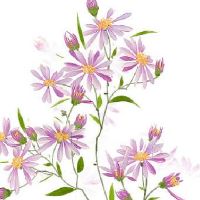 店铺起名大全免费打分测试 高级时尚旺店取名