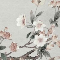 提升事业运的摆件 适合办公室摆放的绿植