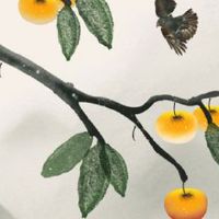 十指全是簸箕的是帝王命 升职加薪事业兴